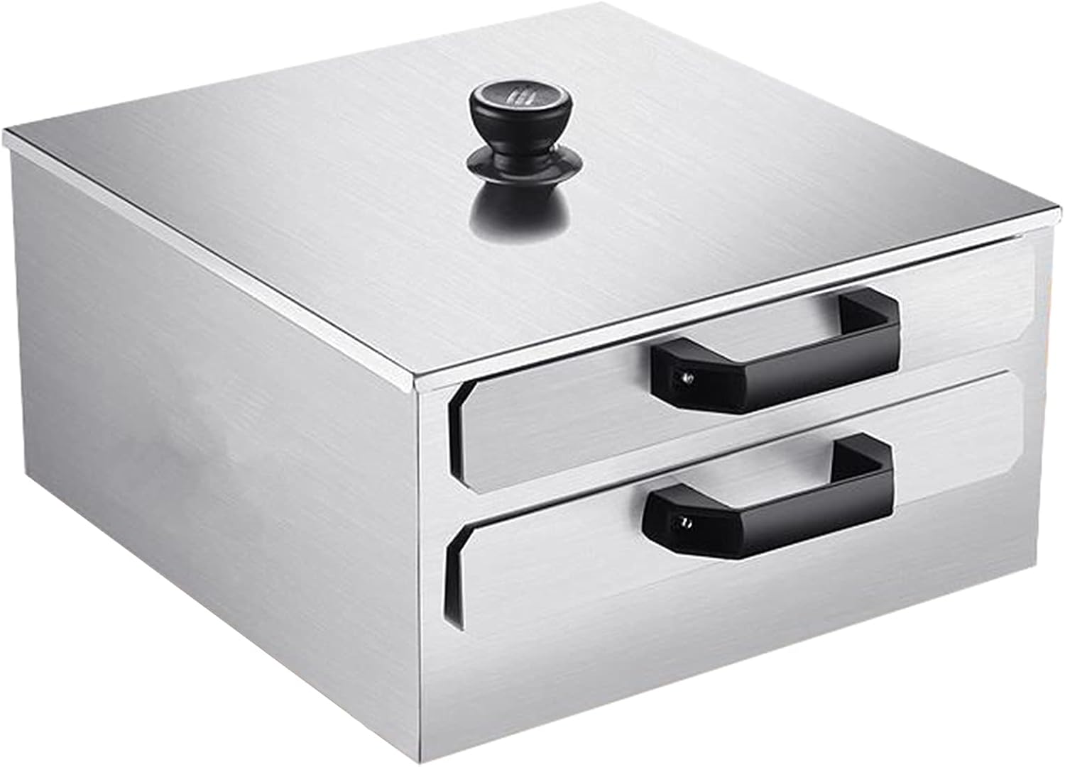 AIZYR Rice Noodles Steamer - 2-Layer Rice Noodle Rolls Maker Cantonese Cuisine Roll Cooker with 304 Stainless Steel Trays for Vegetables, Seafood