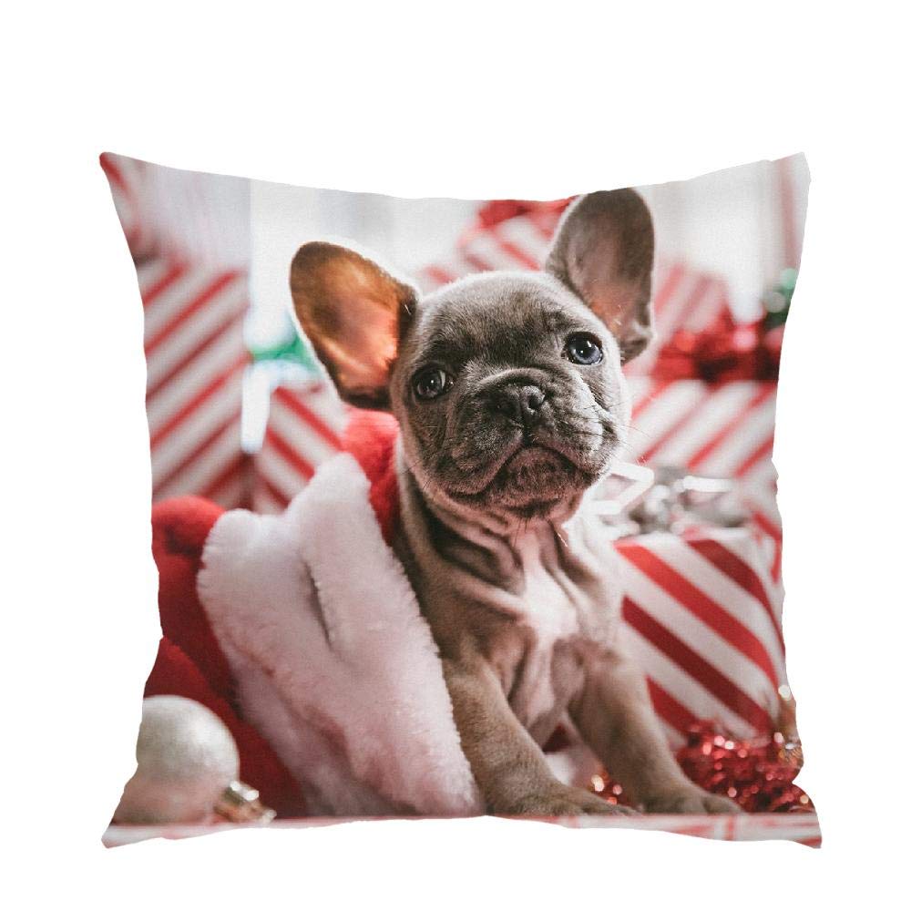 Insmartq Pillow Cover| Cute call Printed 18"* 18" Twin Sides Printed Easy Care Square Pillow for Couch, Patio, Living Rooms No Cushion Core