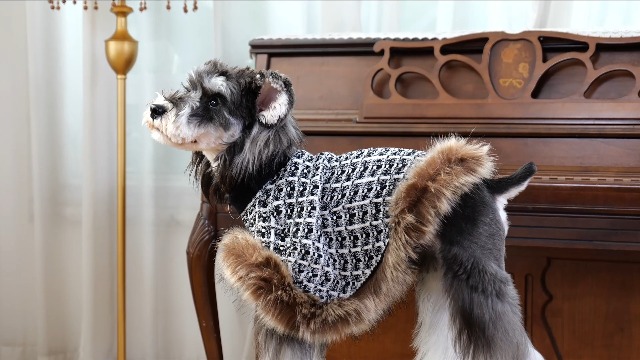 Amazon.com : UNIPUP Dog Sweater Cloak, Pearl Cotton Bouclé Yarn