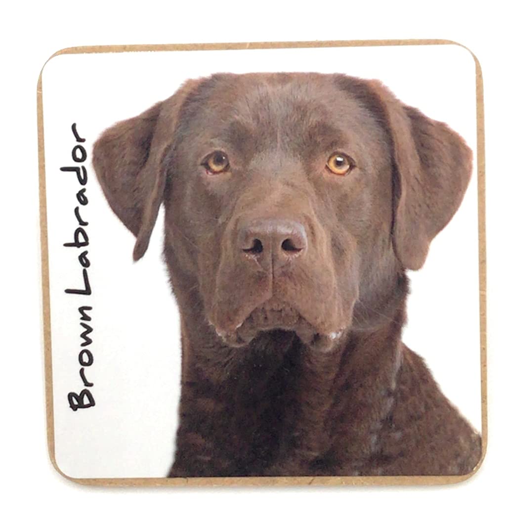 Brown Labrador Dog Pet Coaster For Drinks, Coffee, Tea. 9.5 x 9.5 cm. Birthday Present, Christmas Stocking Filler, Dog Dad/Mum Gift, Dog Lovers.