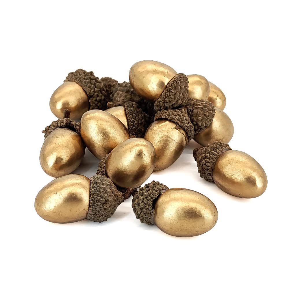 Laiiqi50pcs artificial acorn decorations, fall decor, acorns for squirrels, golden with natural acorn cap suitable for Christmas Thanksgiving Wedding and other table decorations