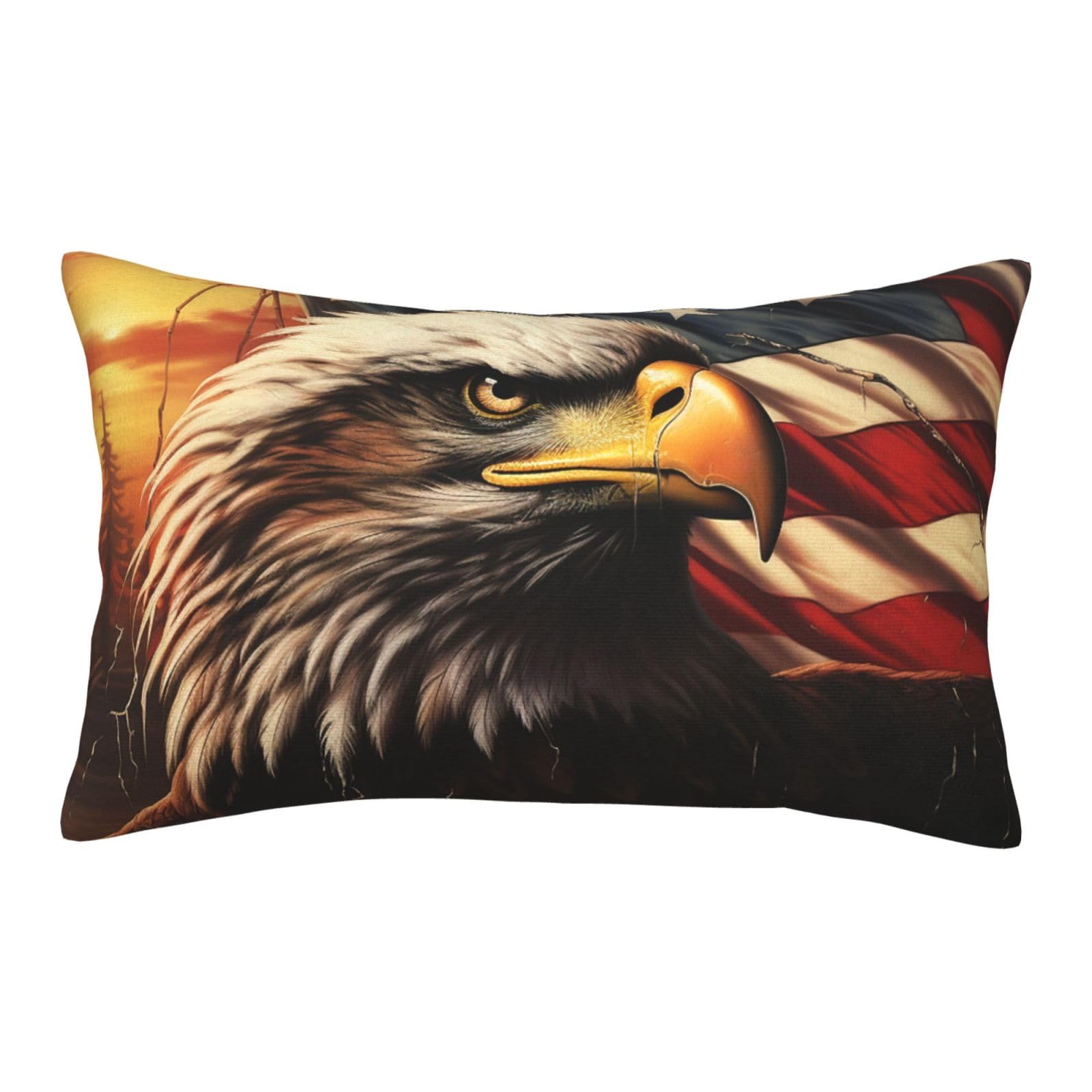Velvet Pillowcases 14"x20" Ultra Soft Breathable Pillow Cases, Luxury Fuzzy Throw Pillow Covers with Zipper, Flag and Eagle Pillow Shams All Seasons Decorative Cushion Cases for Couch