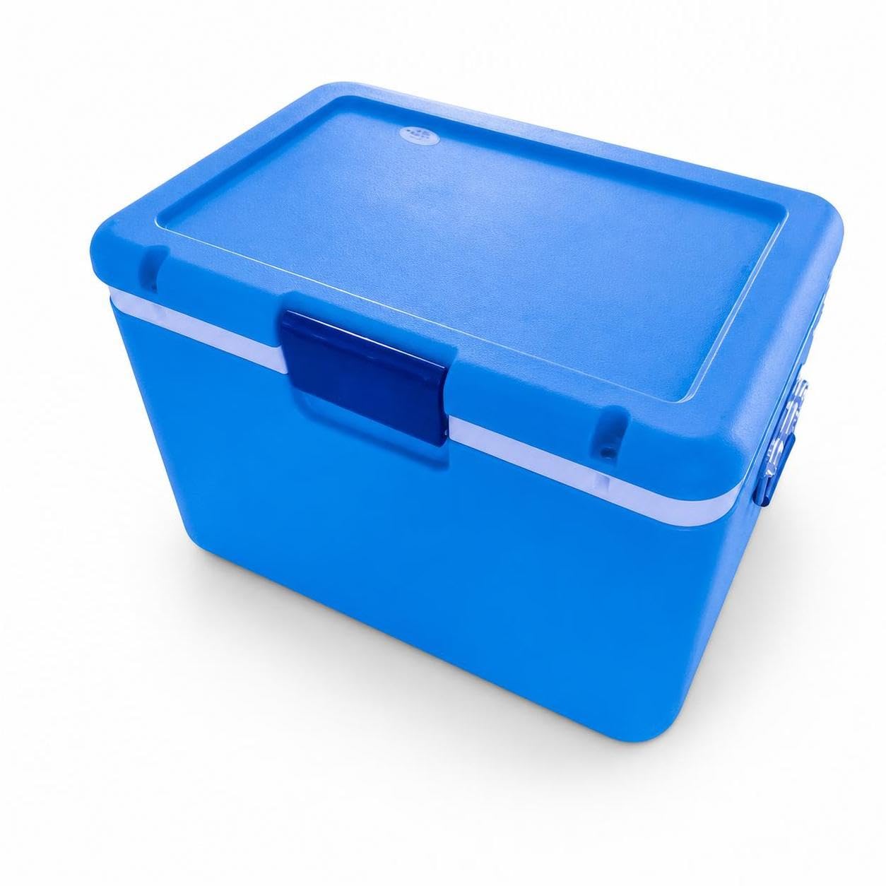 Scatola Termica per Alimenti e Bevande, per Picnic, per bevande