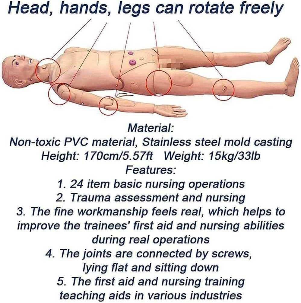 Formation sur Mannequin de Soins aux Patients de 5,57 Pieds, Simulateur de RCP, avec Modules Interchangeables Génitaux et Traumatologiques, pour Étudiants en Formation Infirmière