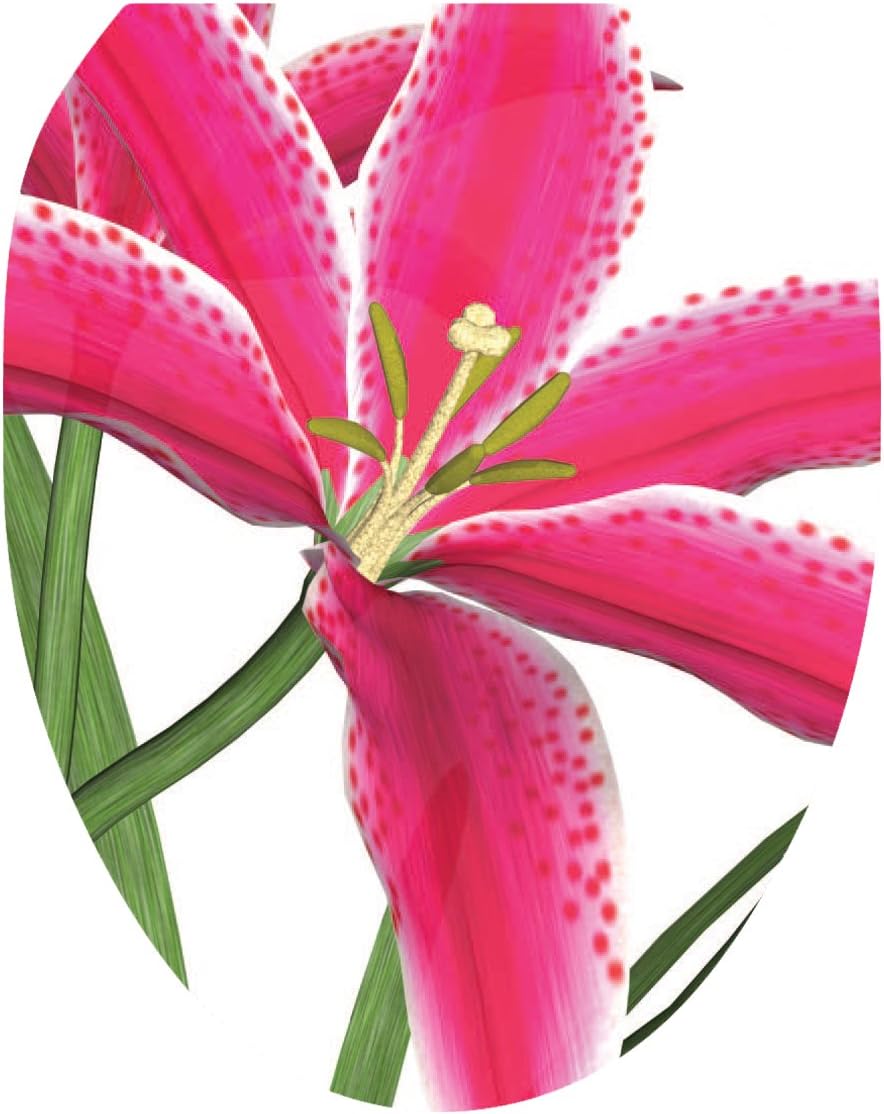 Toilet Tattoos, Toilet Seat Cover Decal,Stargazer Lily Pink, Size Elongated