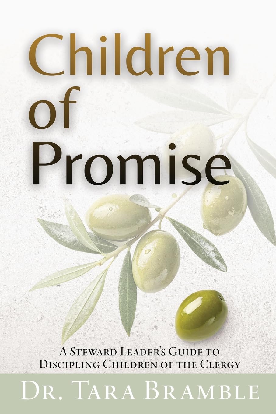 Children of Promise: A Steward Leader's Guide to Discipling Children of the Clergy: 0