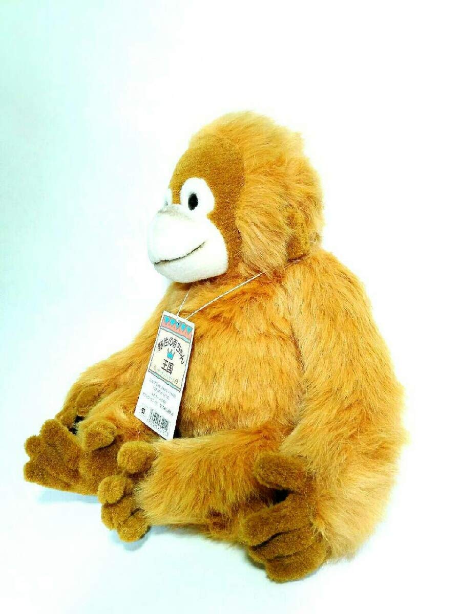 オラウータン　ベイビーココ　希少　ぬいぐるみ　正規品 Amazon.co.jp: Baby Coco オランウータン ぬいぐるみ S ベビー
