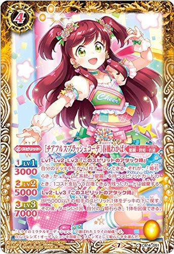 ogXsbc CB14-051 m`AtXvbVR[fnt킩 (C R) I[ACJcIh[IXe[W