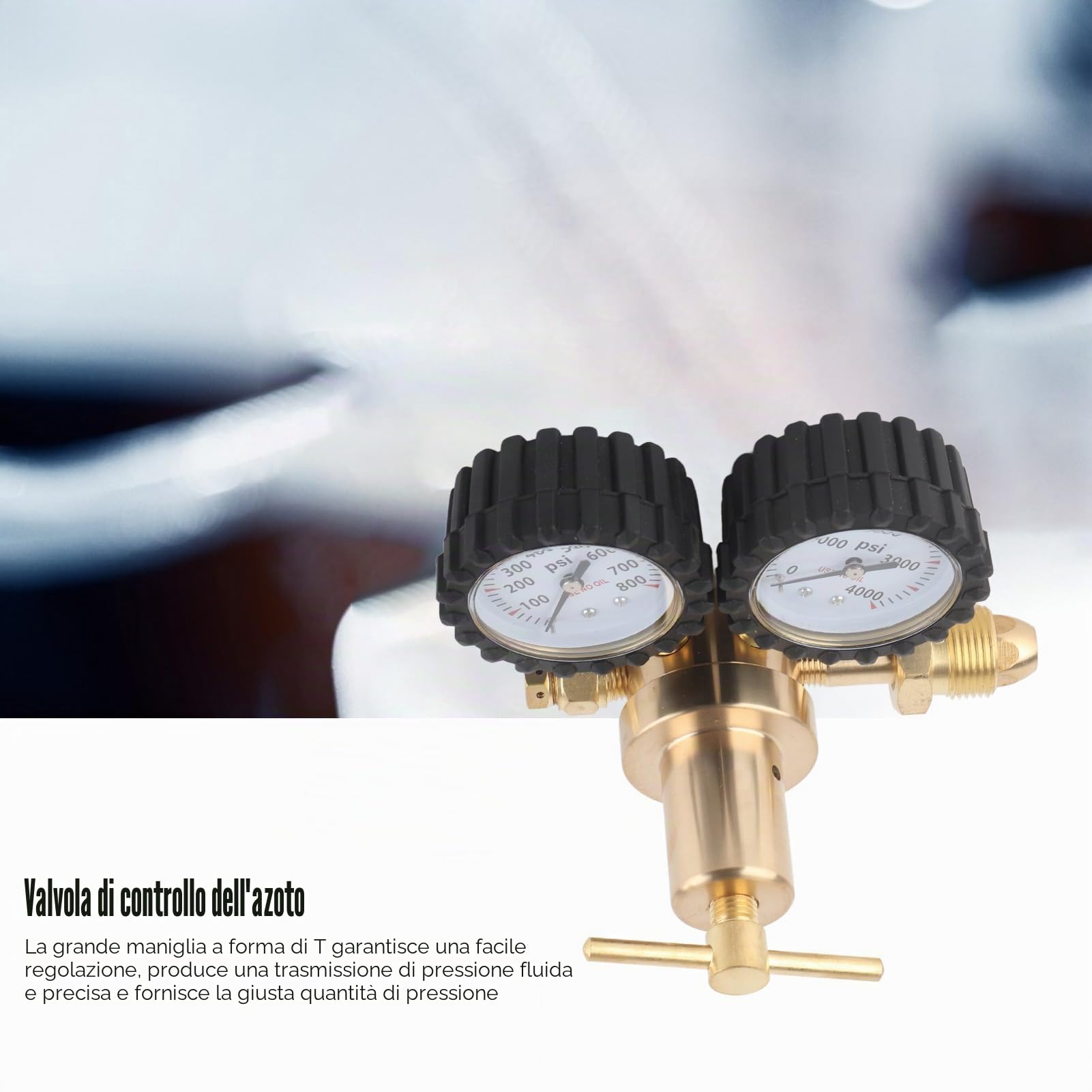 Regolatore di Pressione Azoto con Doppio Manometro, 0-800 PSI, Ottone, per Cilindri Industriali e Alimentari, 16,5 cm
