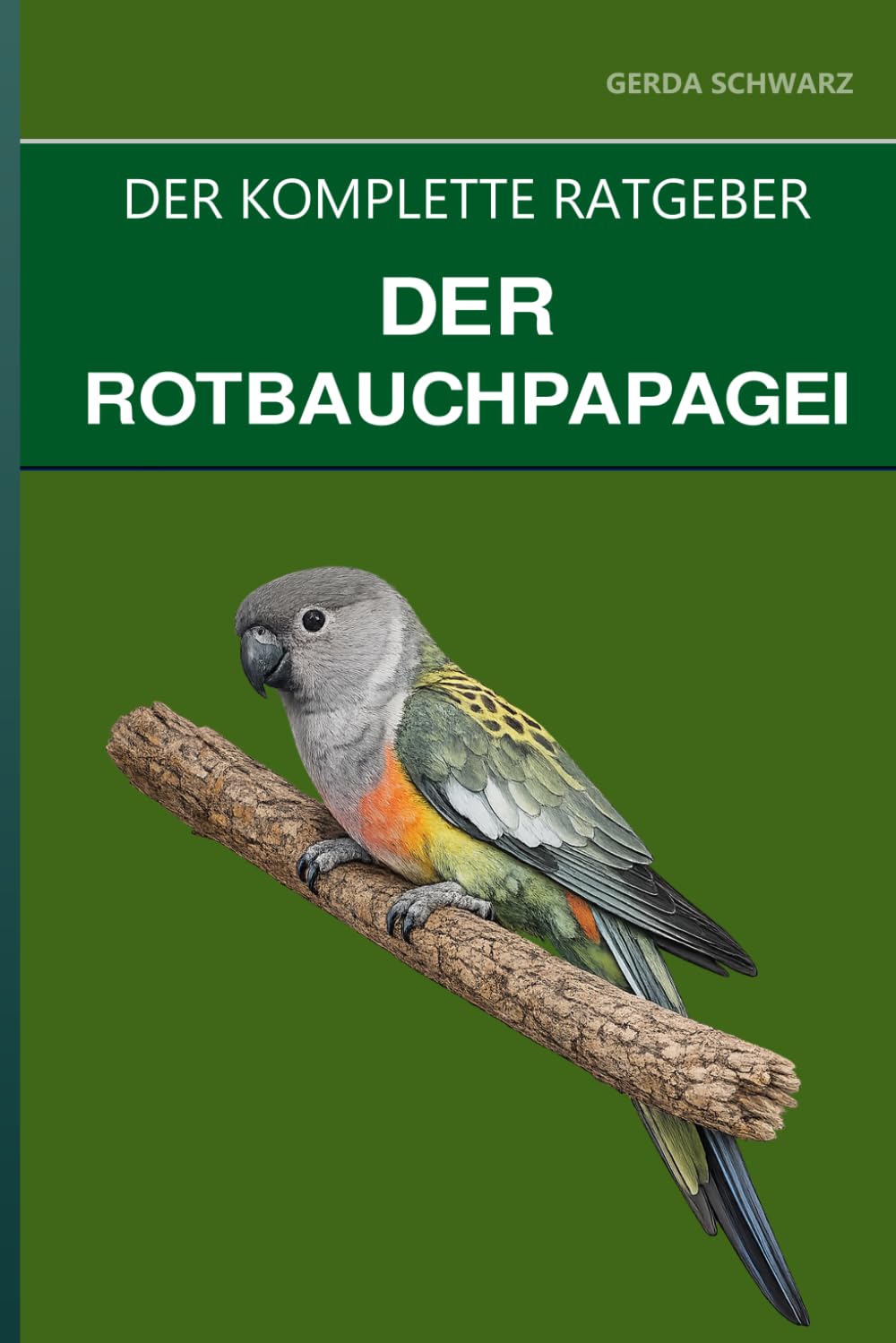 Der Rotbauchpapagei: Ein kompletter Leitfaden für Pflege, Stressbewältigung und den sprechenden Poicephalus