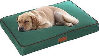 Ellie-Bo Hundebett für Innen, Matratze weich und waschbar, Bezug: wasserfestes Oxford-Gewebe, Füllung: Polyesterfaser, für 91-cm-Hundekäfig, Größe L: 87 x 57 x 10 cm, in Grün mit braunen Paspeln product image