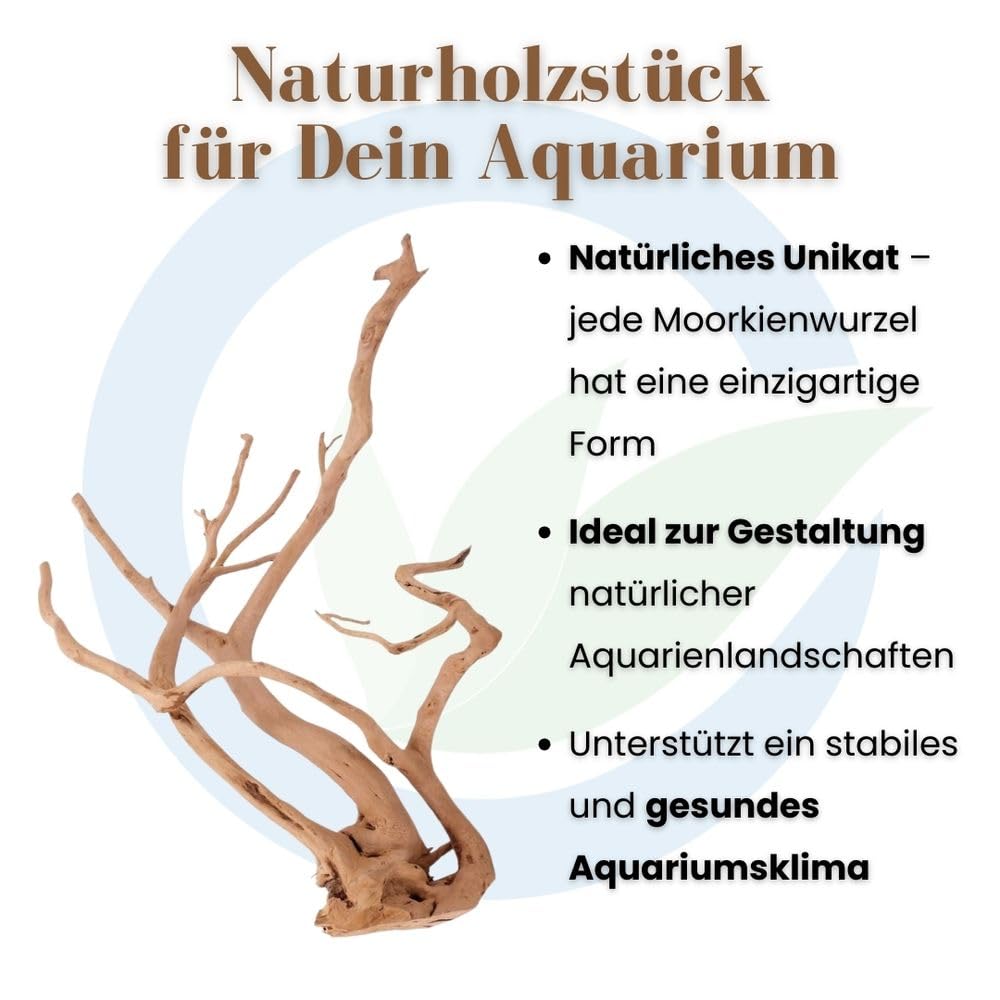 AquaOne Aquarium Wurzel XXL 90-110 cm - 1 Stück - Filigrane Moorkienwurzel für Aquascaping, Naturdeko & Aufsitzerpflanzen - Handverlesenes Unikat für Süßwasseraquarien
