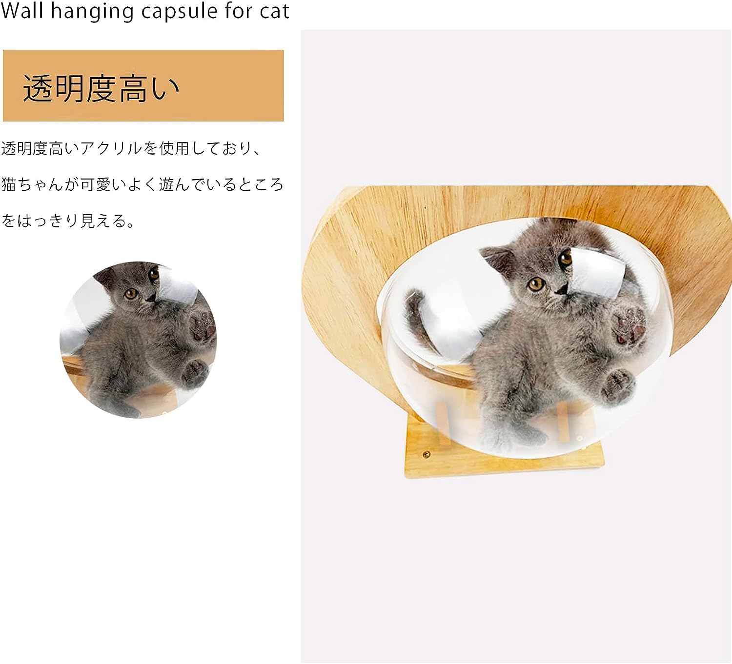 猫のポスター風木製壁掛け （制作中） うちのCat オーダーメイドポスター（ファッション雑誌風）額装