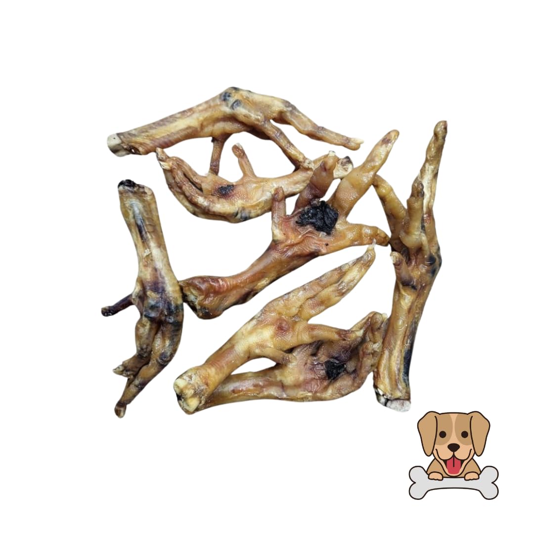 Pawsome Snax Chicken Feet for Dogs - PACK SIZE: 125g - Natural Chew Range - Image 4