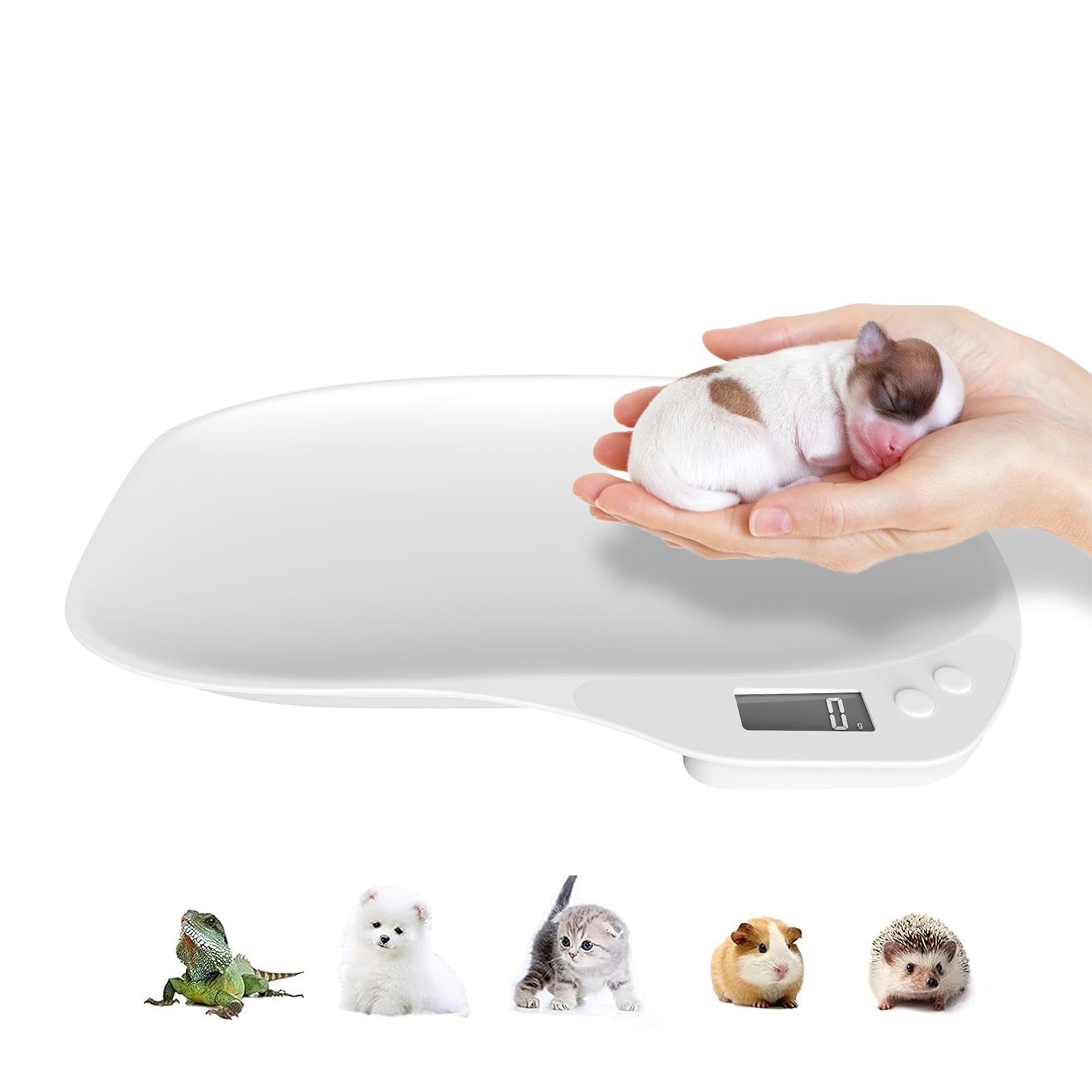 Bilancia digitale per animali domestici | Bilancia elettronica da cucina