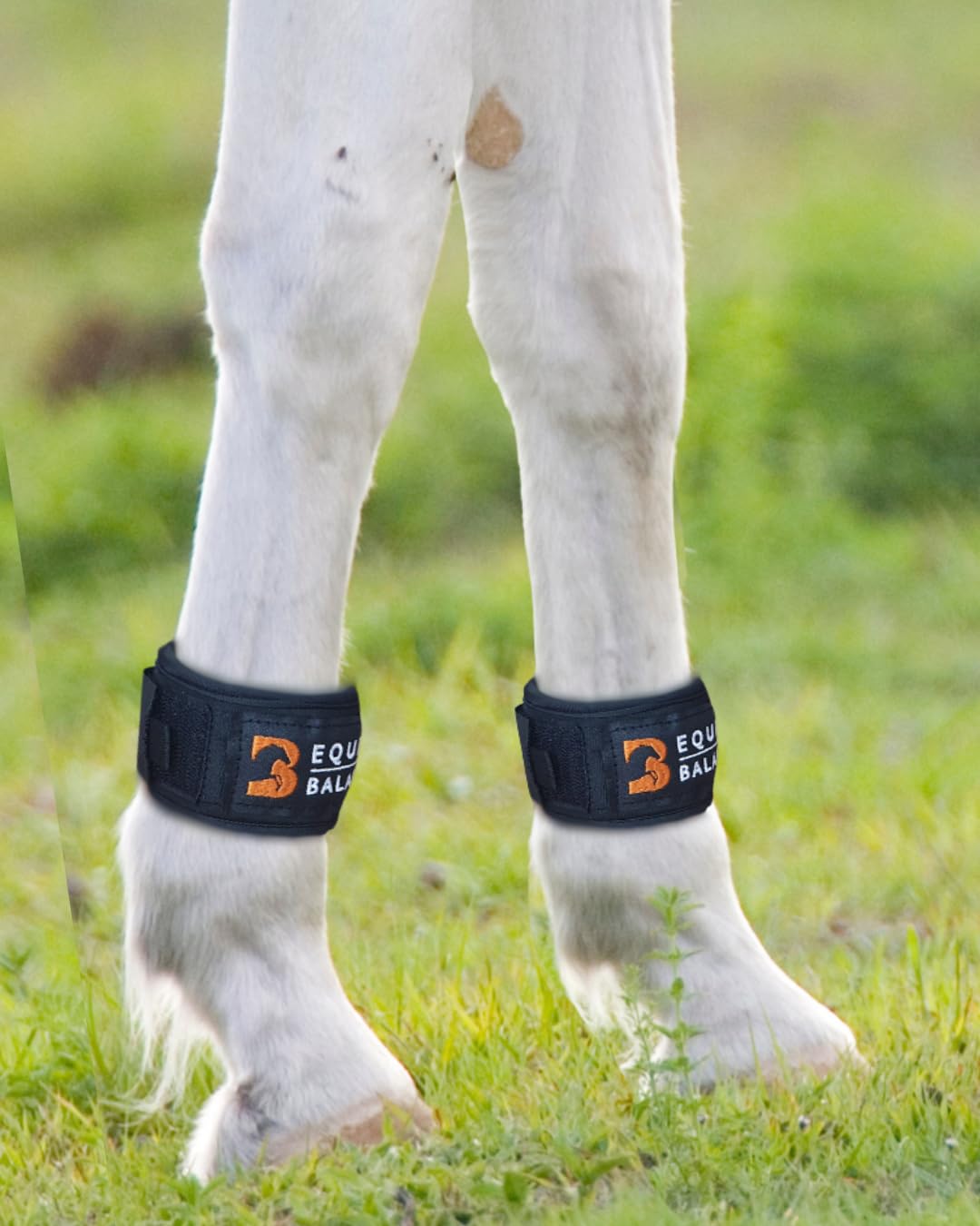 Magnetic Leg Bands for Horses. Equine Balance Magnetic Therapy Pastern Wraps for Horses and Ponies. Neodymium magnets for hoof, fetlock, knee and hock (Standard) - 2