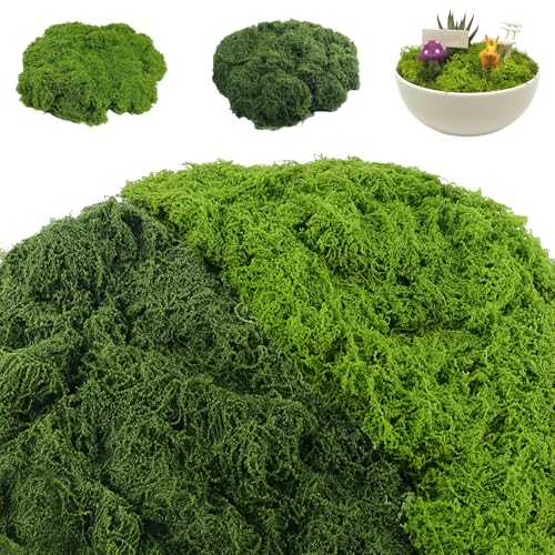 Deko mit Moos  Die 15 besten Produkte im Vergleich - kita.de Ratgeber