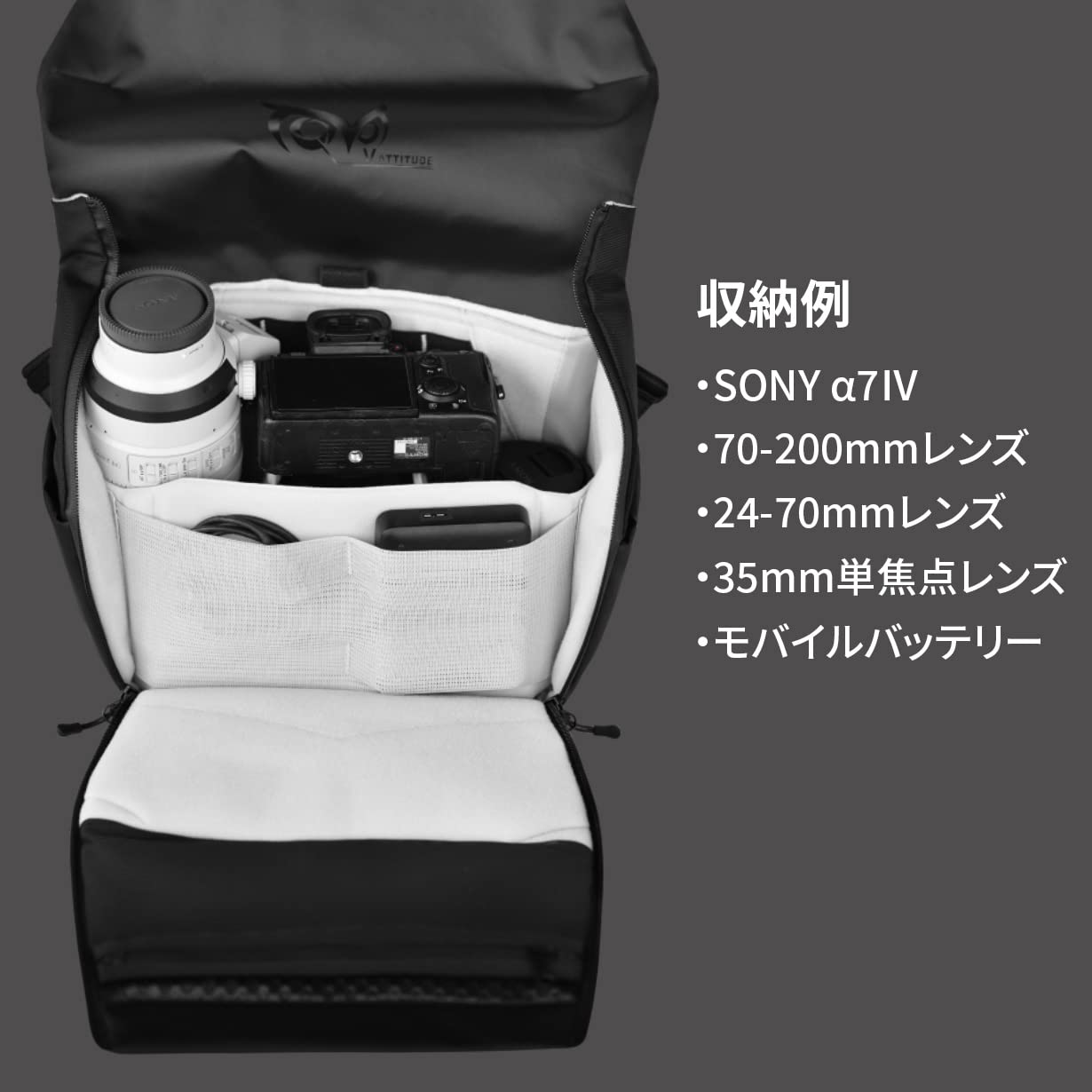 Amazon.co.jp: VSGO: カメラバッグ