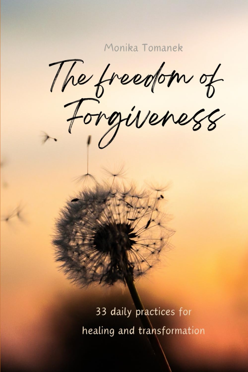 The freedom of forgiveness: balancing the past, creating the future: 33 daily practices for healing and transformation