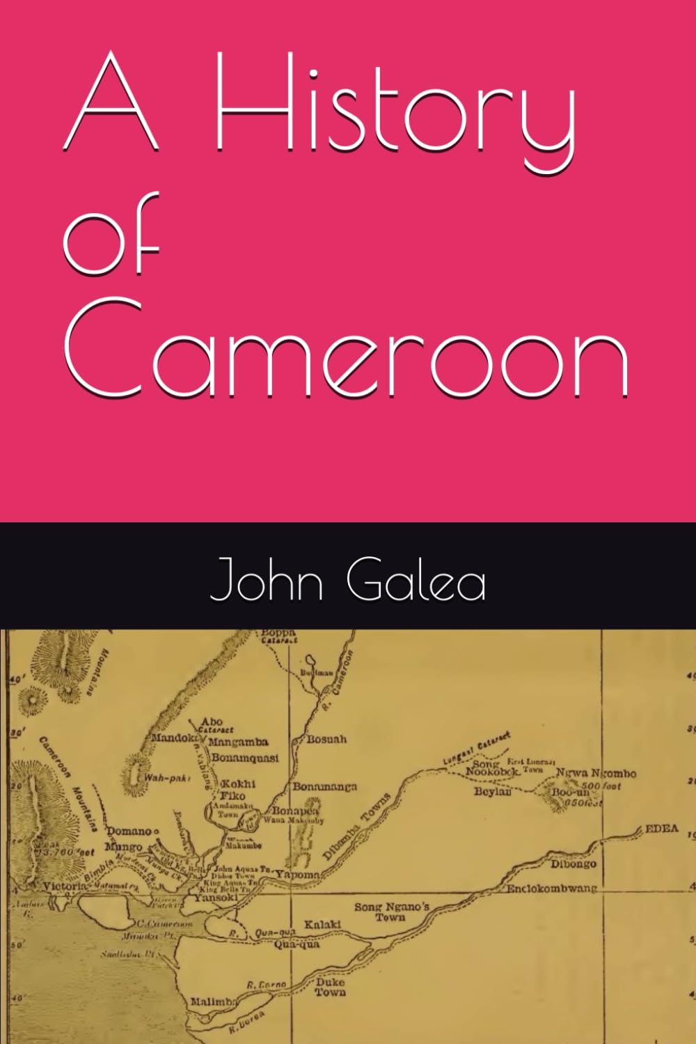 A History of Cameroon