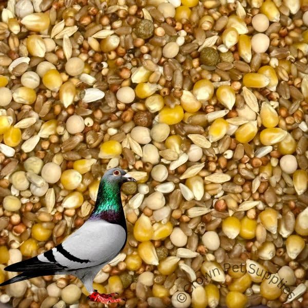Crown Pigeon Feed 12% Blend Mix for Racing Pigeons, Premium Feed Nutrition for Racing & Recovery, for All Types of Breeds of Pigeons 5 Pounds Bag