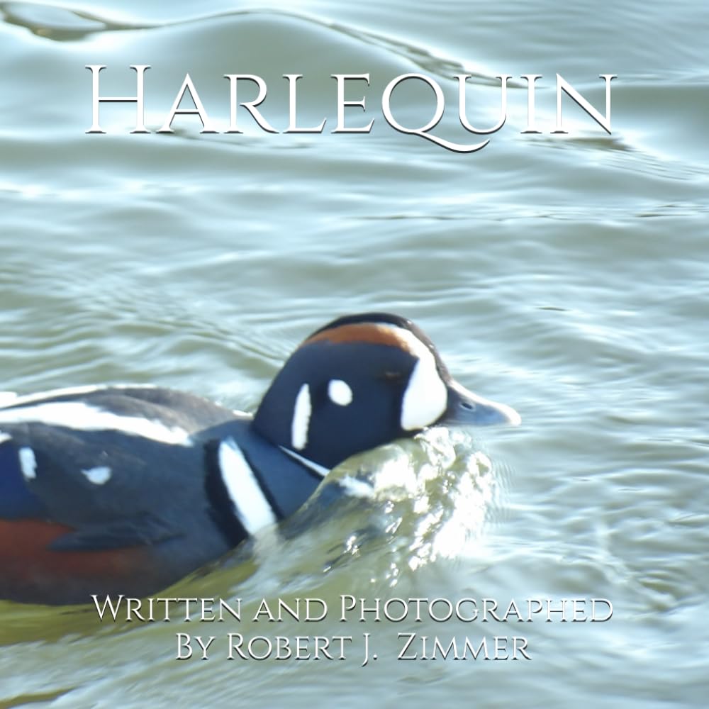Harlequin