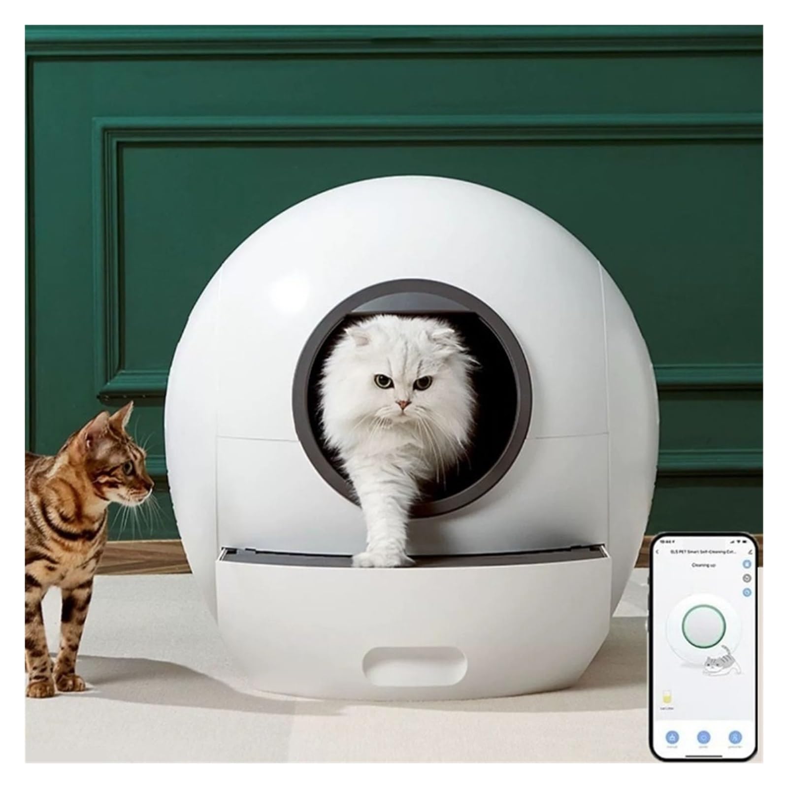Lettiera Automatica for Gatti da 80 Litri con Promemoria App, for Autopulente Intelligente, Vassoio for Chiuso UV, Prodotti Multifunzionali for Animali Domestici Silenzioso E Pratico