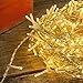 Produktbild LED Lichterkette Goodia 46ft 100er LED Outdoor Lichterkette ,Warmweiß Weihnachtsbeleuchtung Deko, Party, Hochzeit, Garten [Energieklasse A+]