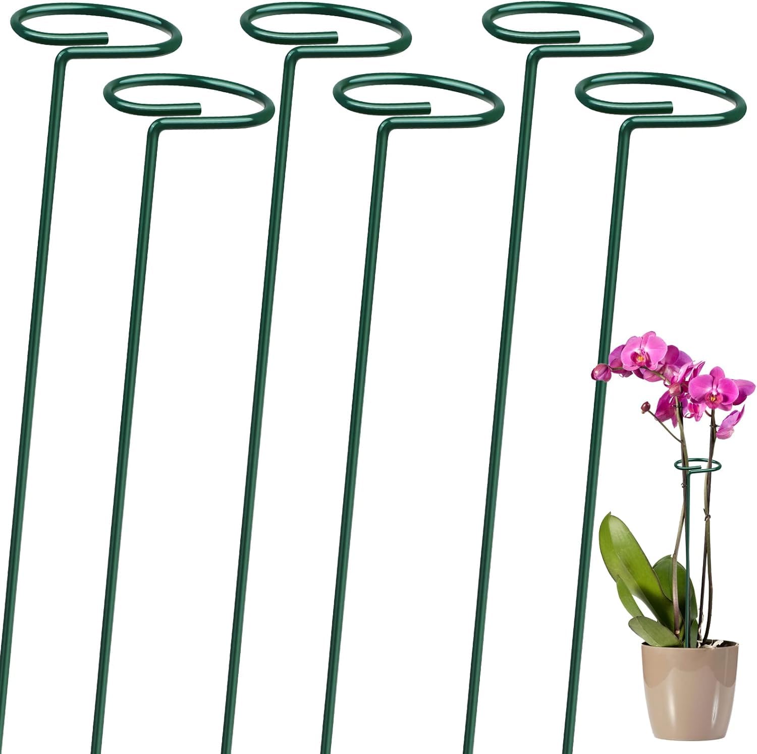 See full amazon price history chart for CSOK Pack of 6, 16 Inch Plant Support Stakes, Metal Single stemmed Flower Support Hoops?Garden Plant Stakes Plant Prop for Amaryllis Orchid Lily Rose Peony Tomatoes Gladiolus CSOK Pack of 6, 16 Inch Plant Support Stakes, Metal Single stemmed Flower Support Hoops?Garden Plant Stakes Plant Prop for Amaryllis Orchid Lily Rose Peony Tomatoes Gladiolus (B0CNLVP9B9) Amazon Price History, Amazon Price Tracker