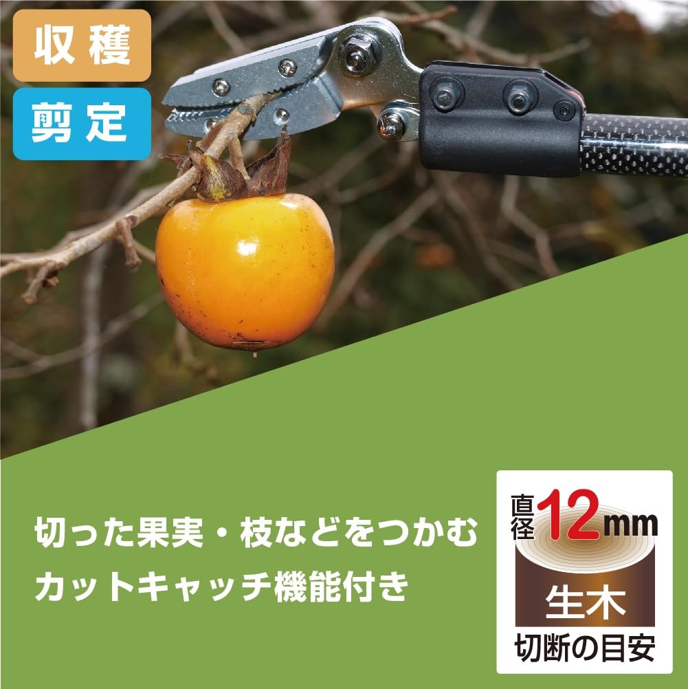 【人気商品】160PCC-1.2D ｶｰﾎﾞﾝﾁｮｷ 採収型 Amazon | カーボンチョキ 採収型 160PCC-1.2D | 高枝切りばさみ