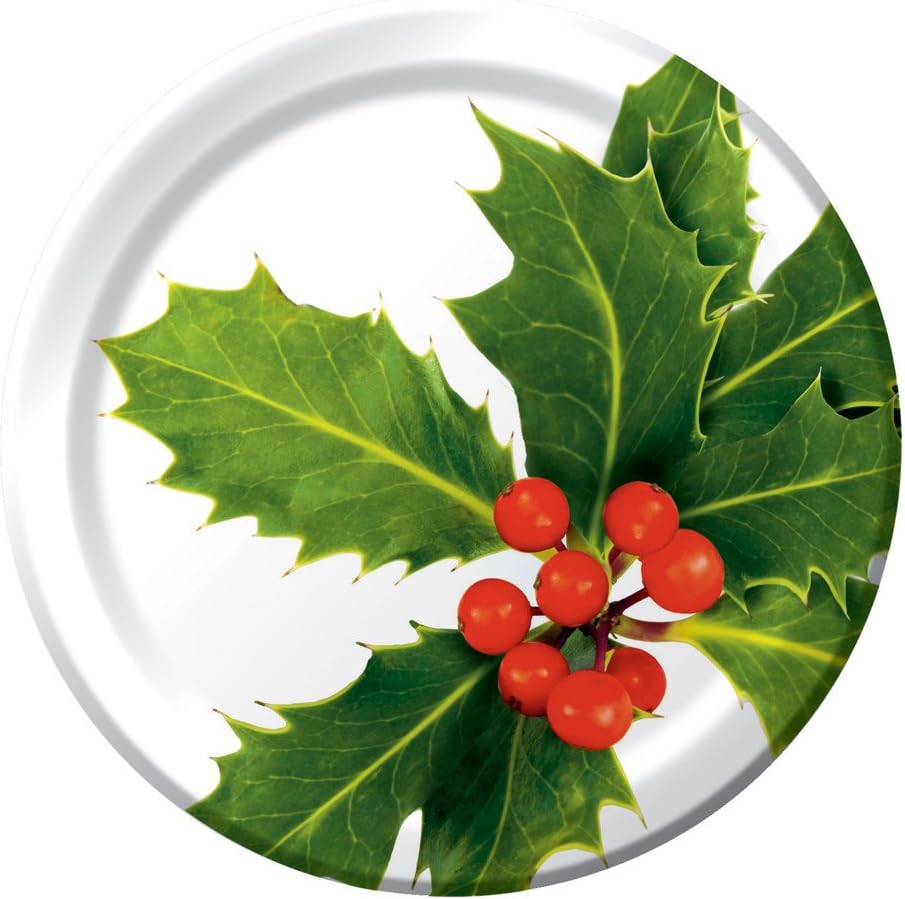 Creative Converting 8 Count Scarlet Jubilee Paper Lunch Plates Toys & Games