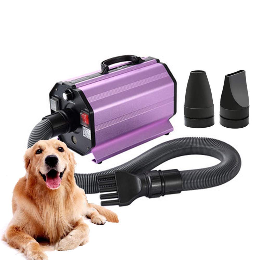 Secador de Pelo para Mascotas de 2200 W, máquina de soplado de Agua, máquina de soplado de Pelo para Perros, Adecuada para Perros y Gatos Grandes y medianos, Potencia silenciosa, antiescaldado, veloc