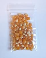 Vista 4 de 50 granos de maíz pop - Zea mays everta (cultivados orgánicamente)