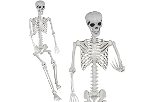 5.9Ft Halloween Skeleton Full Body Life Size Human Skeleton