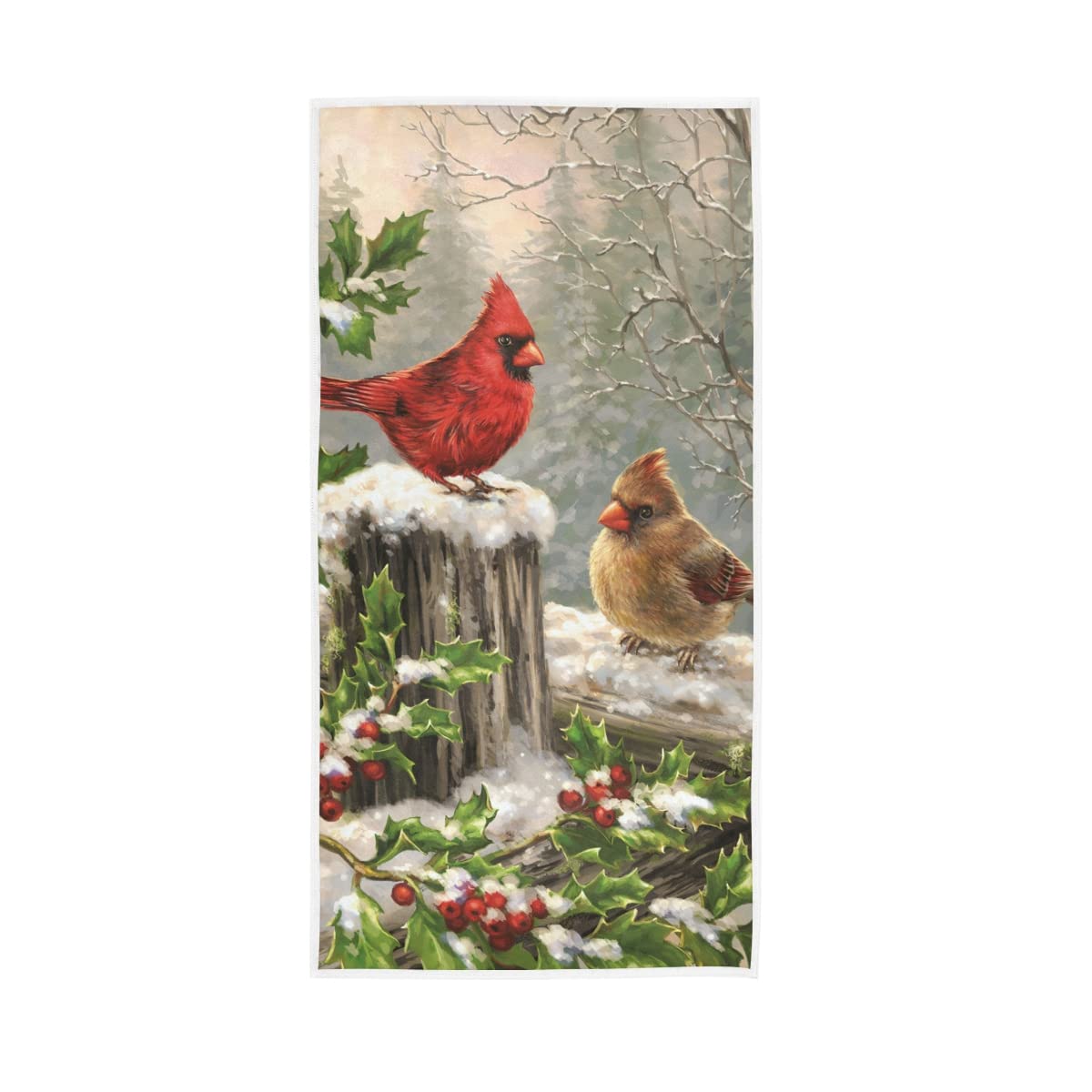 HUYGD Winter Humming Birds Soft Bath Towel Absorbent Hand Towels Multipurpose for Bathroom Hotel Gym Spa 30"x15"