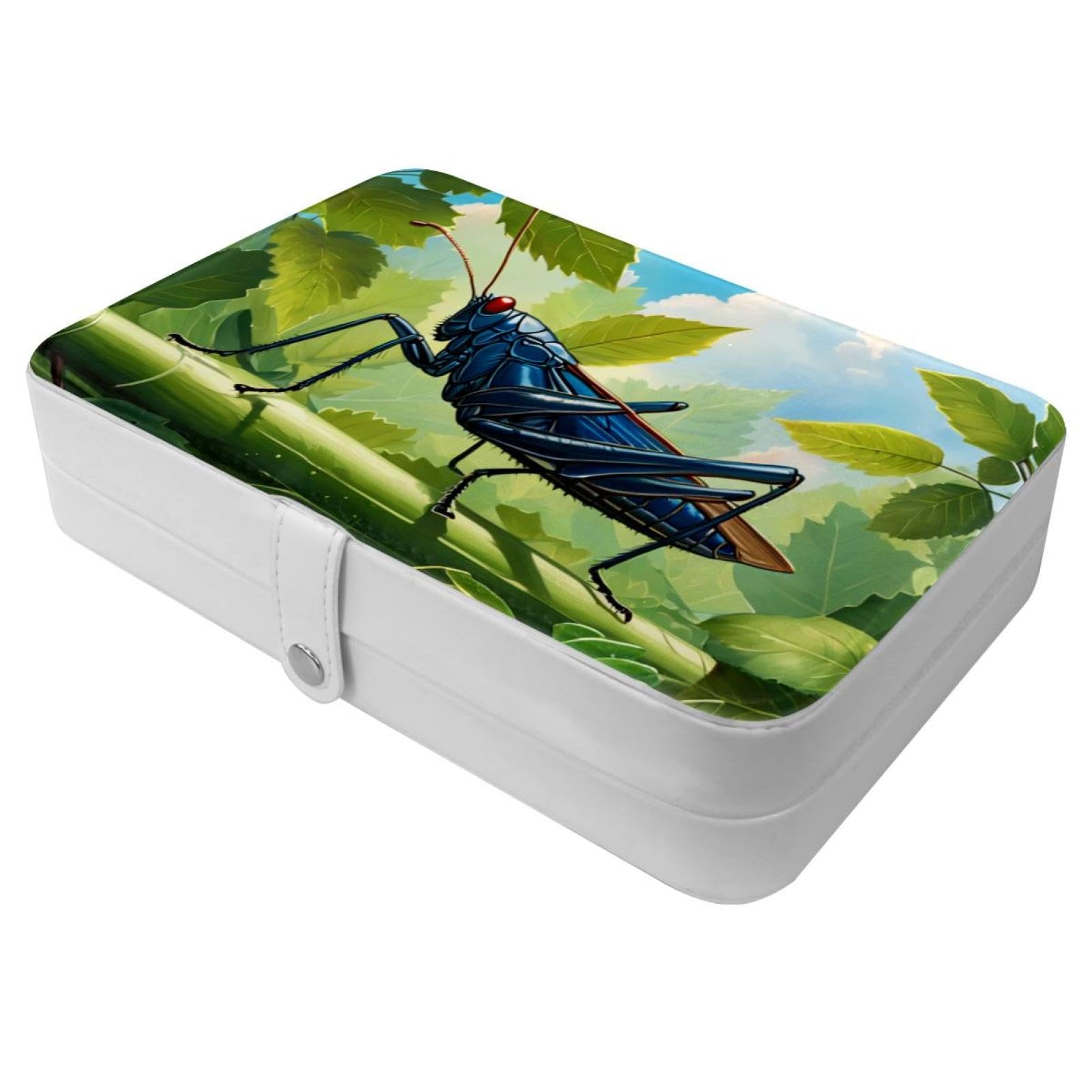 Boîte à bijoux portable à compartiments amovibles et boucle métal pour un rangement sécurisé