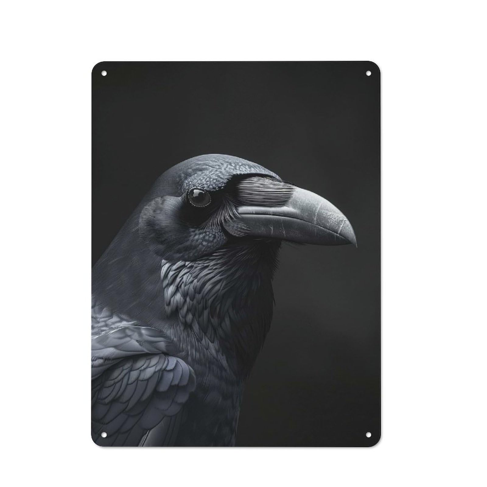 Junmoney Style-9 Classic Vintage Metal Sign 40X30cm Featuring Crow, Classic Pub Decor For Bar, Kitchen, Garage Or Games Room
