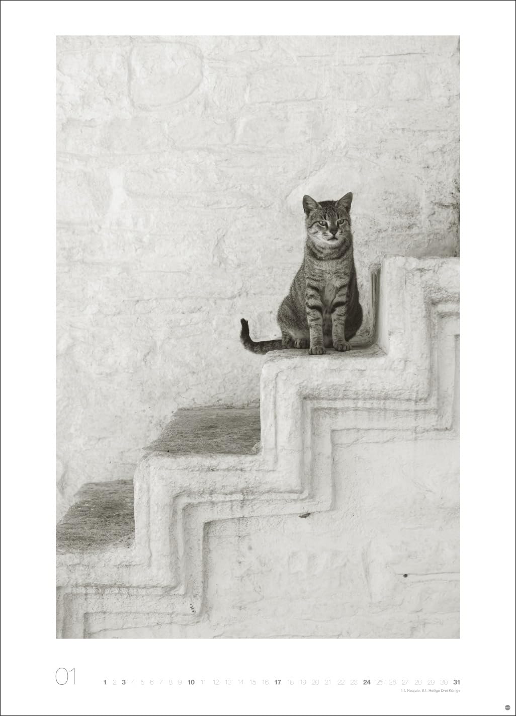 Cats Edition Kalender 2027: Elegante Samtpfoten in schwarz-weiß in einem XXL-Kalender. Tierkalender 2027 im Großformat. Hochwertiger großer Fotokalender für Katzenfans.