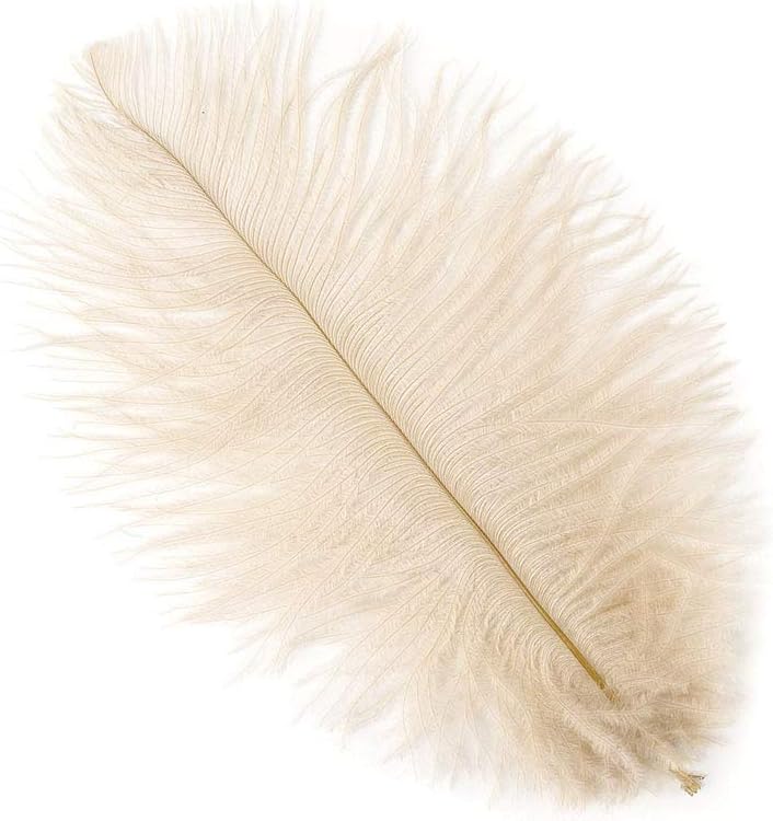 Zucker 12pc Ostrich Feather Craft Supplies - 4-8 inch (10-20 cm) Natural Colorful DIY Wedding Home Decor - Beige