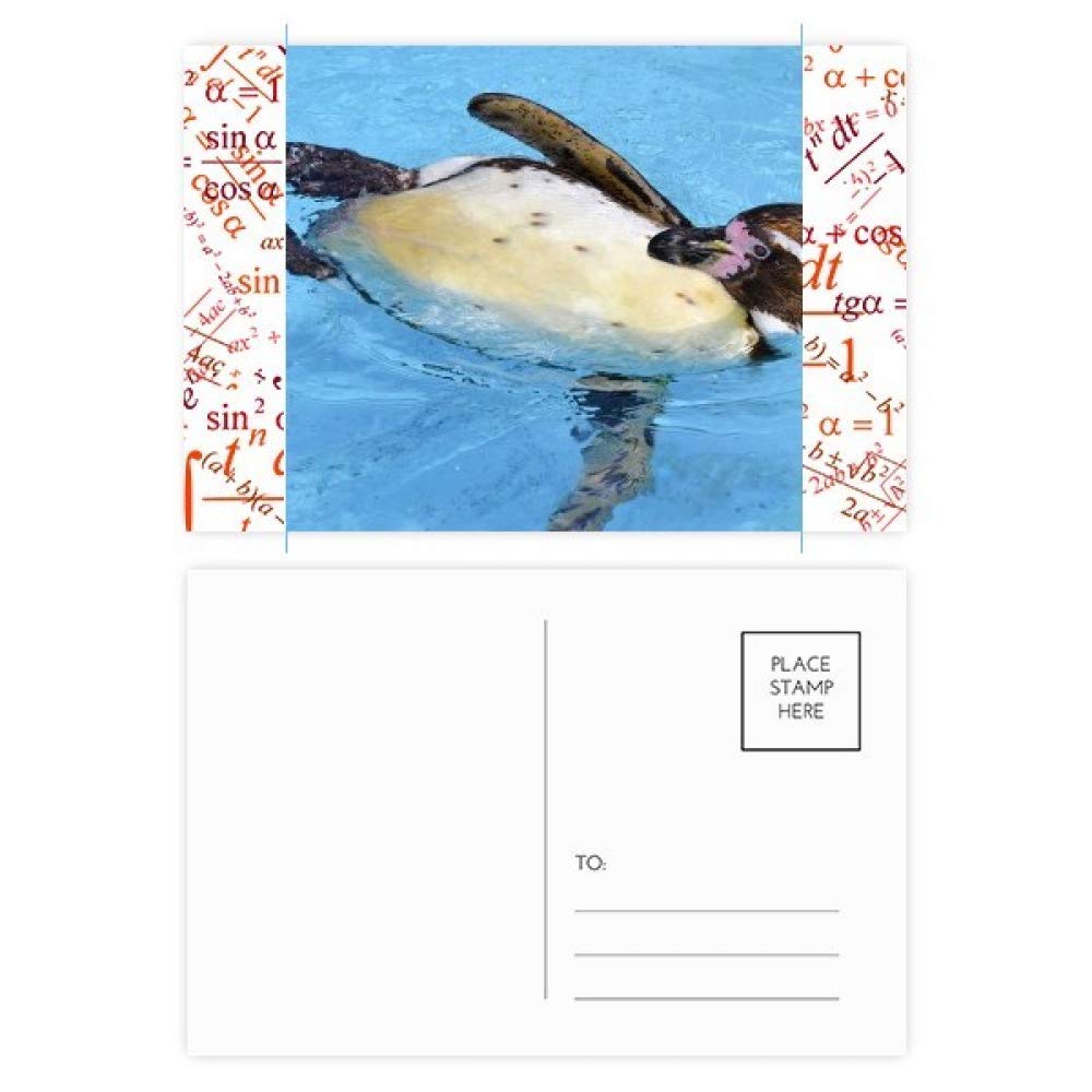 Carte postale Natation Penguin Science Antarctique Nature MultiColor 20pcs