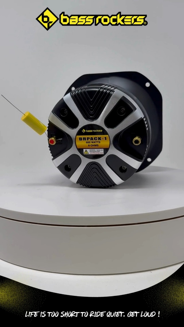 Amazon.com: Bass Rockers Titanium Driver with 2
