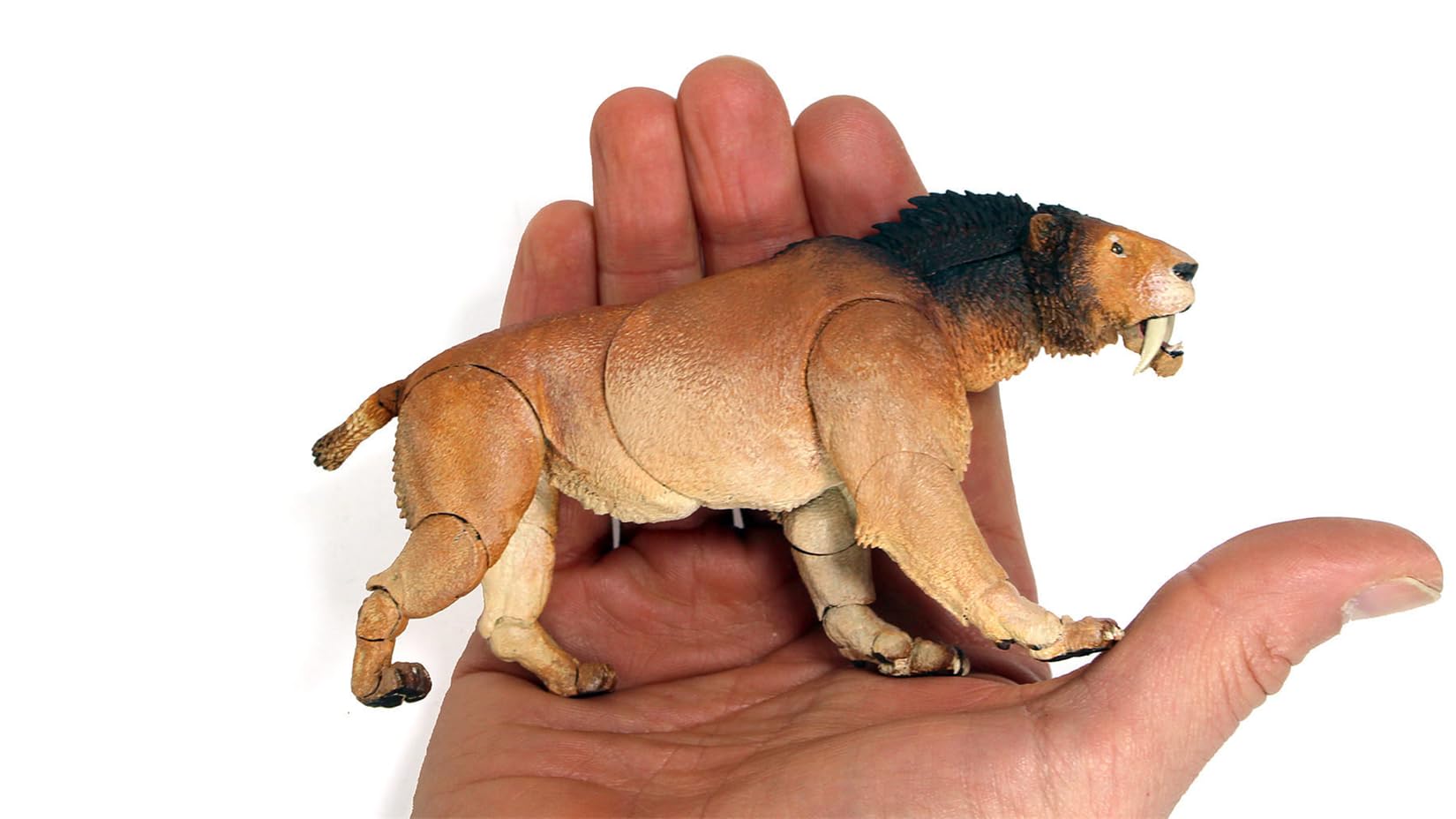 Amazon | Beasts of the Mesozoic/Cenozoic 中生代の獣 1/18スケール