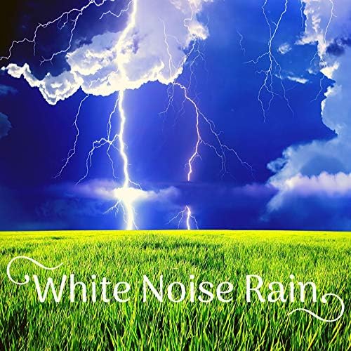 White Noise Rain Calm Your Mind, Sleep Better, Reduce