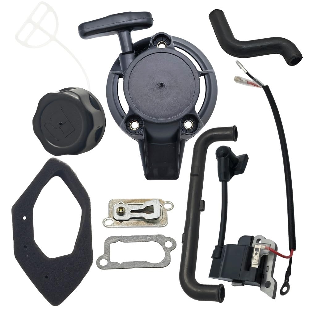 Bobine d'allumage pour GX25 GX25N : kit de plaque et démarreur à recul performant