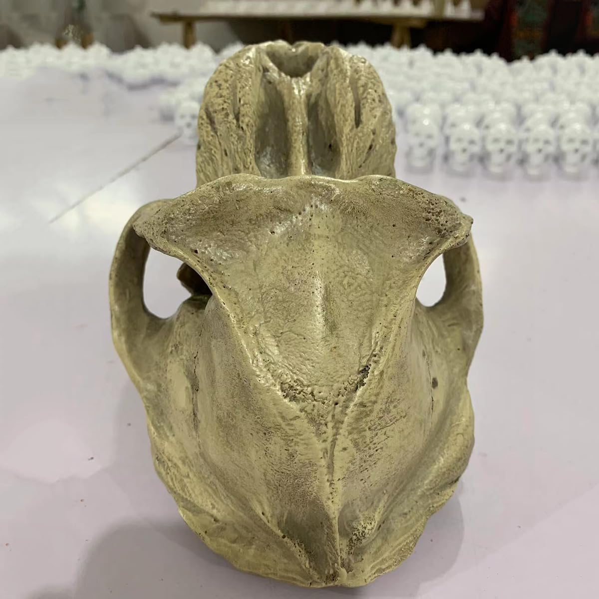 Modelo de cráneo de Babuino, Modelo de cráneo de Animal de simulación, Modelo de cráneo de Mono de Resina, Modelo de cráneo de orangután, decoración de Fiesta de Halloween