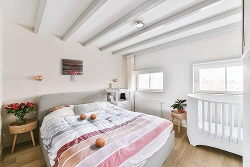 Vista 7 de Elite - Juego de mini aro y pelota de baloncesto, montaje en pared, tablero de cedro fabricado en los Estados Unidos. Incluye aro de 9 pulgadas