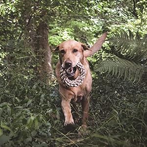 Beco-Hemp-Rope-Jungle-Ring-Tough-Durable-Dog-Toy-Chew-Tug-Pull-Throw-Playtime - Cucciolini Doodles   Beco-Hemp-Rope-Jungle-Ring-Tough-Durable-Dog-Toy-Chew-Tug-Pull-Throw-Playtime