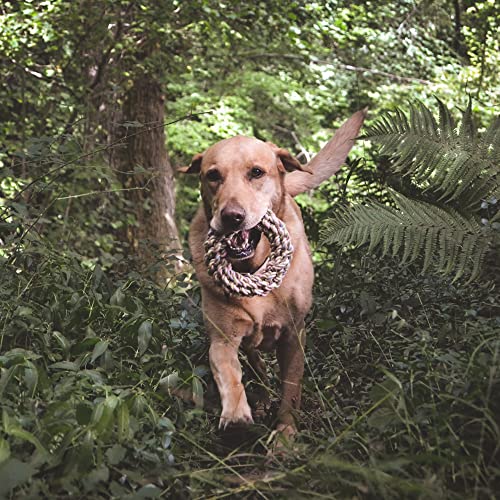 Beco-Hemp-Rope-Jungle-Ring-Tough-Durable-Dog-Toy-Chew-Tug-Pull-Throw-Playtime - Cucciolini Doodles   Beco-Hemp-Rope-Jungle-Ring-Tough-Durable-Dog-Toy-Chew-Tug-Pull-Throw-Playtime