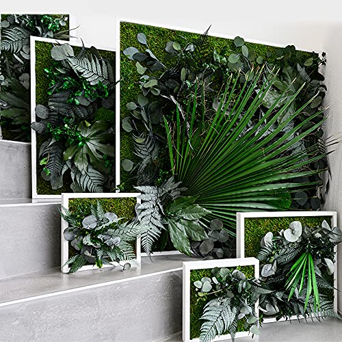 styleGREEN Pflanzenbild im Dschungeldesign 22x22cm 3er Set - Image 6
