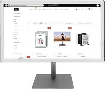 Amazon.co.jp: Bigme B251-25.3 インチe-inkスクリーンを搭載